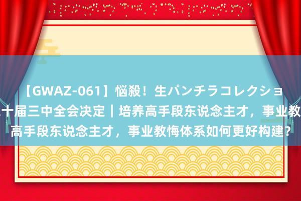 【GWAZ-061】悩殺！生パンチラコレクション 4時間 新华解码·二十届三中全会决定｜培养高手段东说念主才，事业教悔体系如何更好构建？