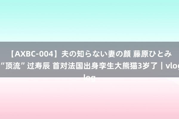 【AXBC-004】夫の知らない妻の顔 藤原ひとみ “顶流”过寿辰 首对法国出身孪生大熊猫3岁了｜vlog