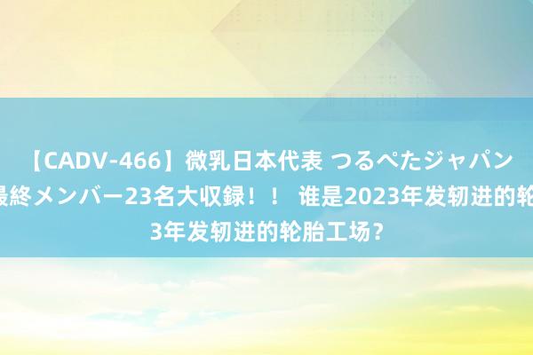 【CADV-466】微乳日本代表 つるぺたジャパン 8時間 最終メンバー23名大収録！！ 谁是2023年发轫进的轮胎工场？