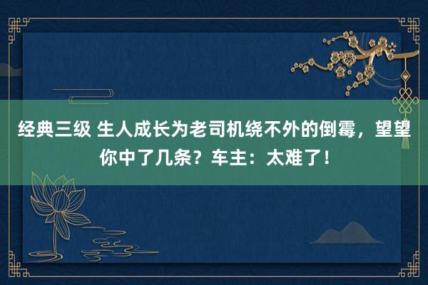 经典三级 生人成长为老司机绕不外的倒霉，望望你中了几条？车主：太难了！