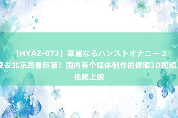 【HYAZ-073】華麗なるパンストオナニー 2 今晚去北京路看巨猫！国内首个媒体制作的裸眼3D视频上映