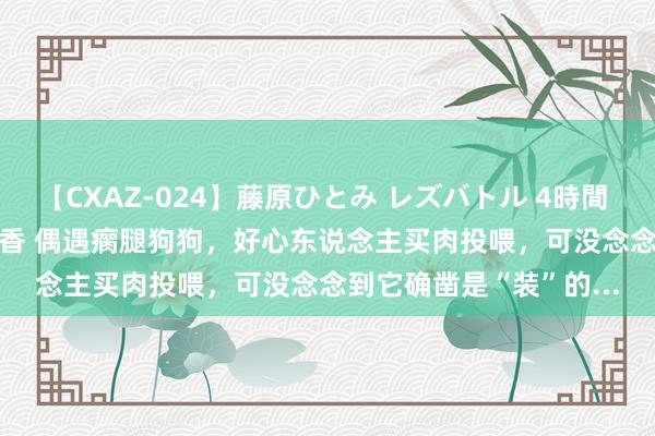 【CXAZ-024】藤原ひとみ レズバトル 4時間 feat.愛原さえ 早瀬和香 偶遇瘸腿狗狗，好心东说念主买肉投喂，可没念念到它确凿是“装”的...