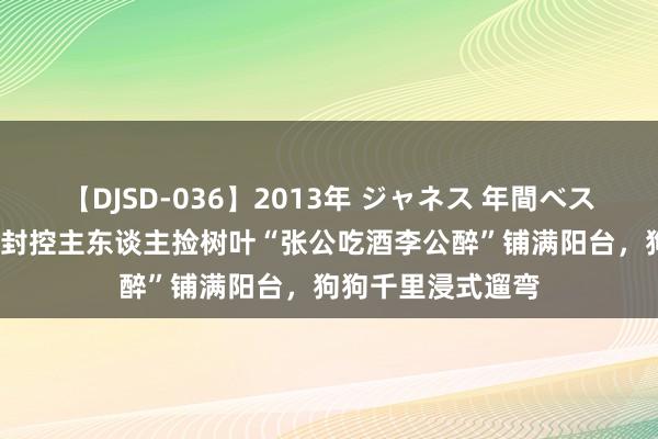 【DJSD-036】2013年 ジャネス 年間ベスト10 上海一小区封控主东谈主捡树叶“张公吃酒李公醉”铺满阳台，狗狗千里浸式遛弯