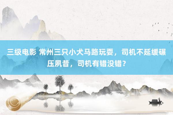 三级电影 常州三只小犬马路玩耍，司机不延缓碾压夙昔，司机有错没错？