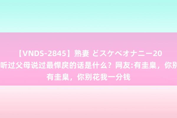 【VNDS-2845】熟妻 どスケベオナニー20連発！！ 你听过父母说过最悍戾的话是什么？网友:有圭臬，你别花我一分钱