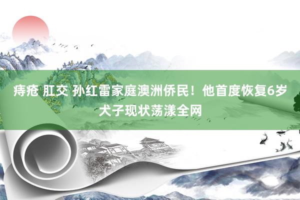 痔疮 肛交 孙红雷家庭澳洲侨民！他首度恢复6岁犬子现状荡漾全网