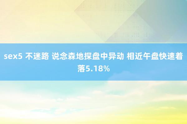 sex5 不迷路 说念森地探盘中异动 相近午盘快速着落5.18%