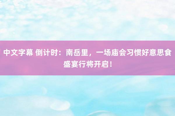 中文字幕 倒计时：南岳里，一场庙会习惯好意思食盛宴行将开启！