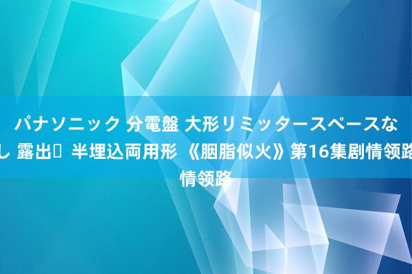 パナソニック 分電盤 大形リミッタースペースなし 露出・半埋込両用形 《胭脂似火》第16集剧情领路